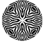 logo vir paradise